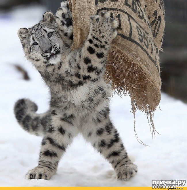 ���� 14: �� ����� �� ������� ����, � ������