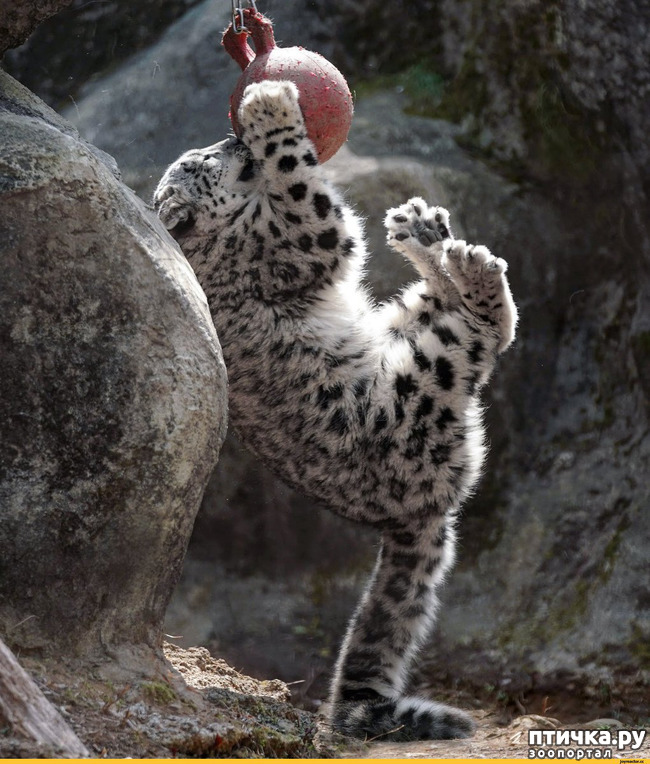 ���� 15: �� ����� �� ������� ����, � ������