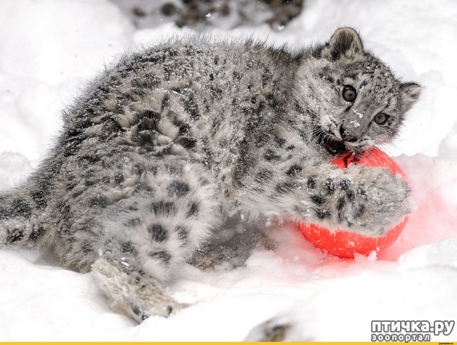 ���� 16: �� ����� �� ������� ����, � ������