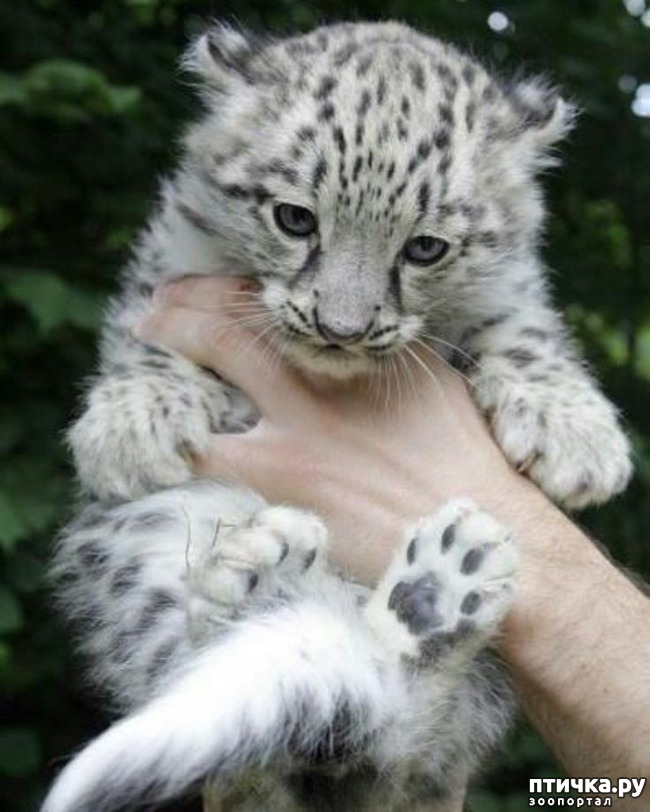 ���� 17: �� ����� �� ������� ����, � ������