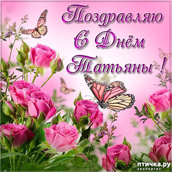 ���� 2: �������, � ���������� ���!)