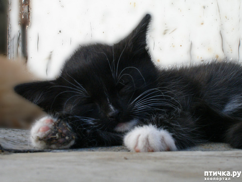 ���� 5: ������ � ��� ������ - �.9. ��������������