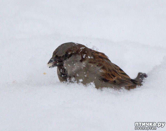 ���� 7: ������ � ��� ������ - �.9. ��������������