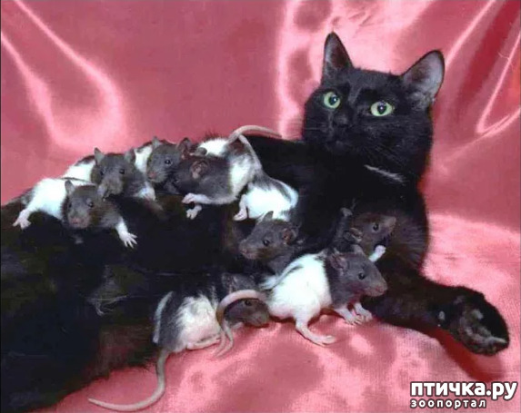 ���� 9: ������ � ��� ������ - �.9. ��������������