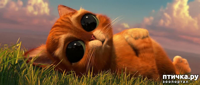 ���� 1: ���, ��� �� ����� - � ����������, � �� � ��������!