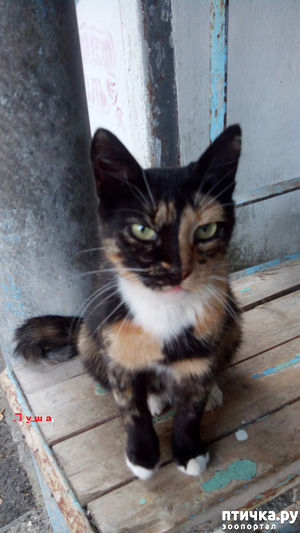 фотография: Привет от Луши фото: Привет от Луши