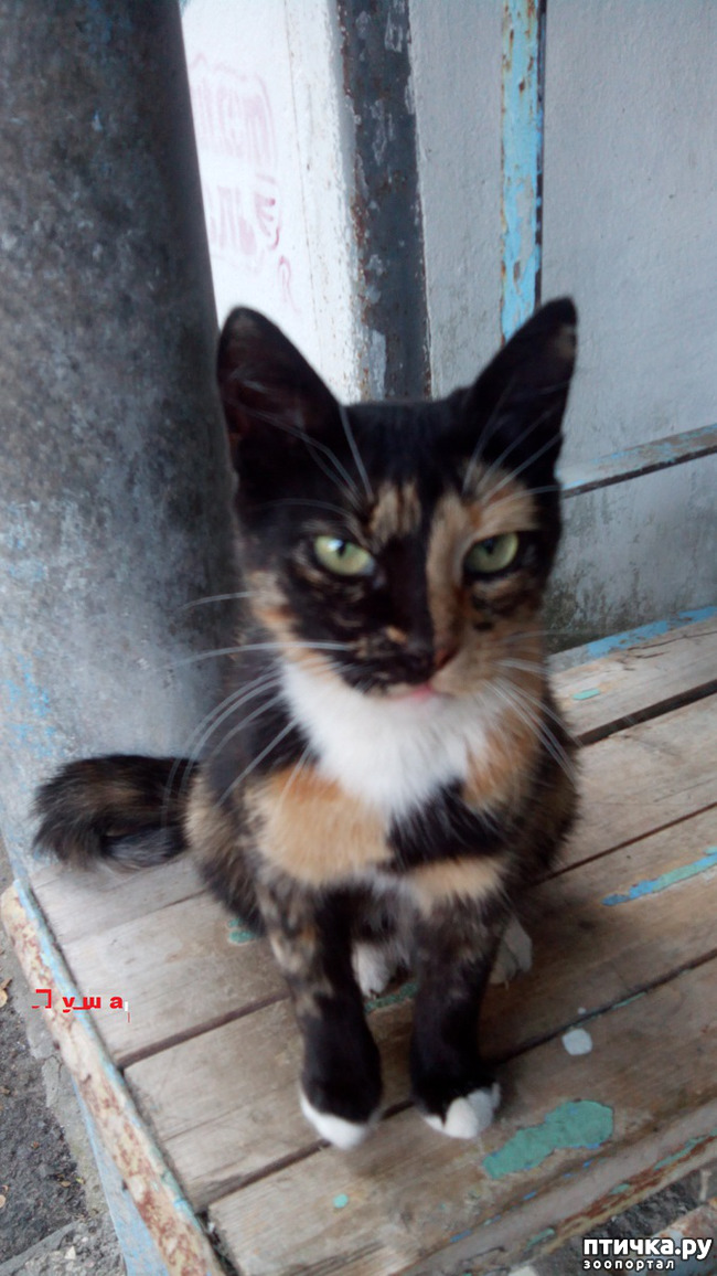 ���� 1: ������ �� ����