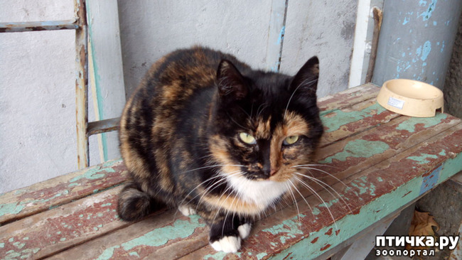 ���� 2: ������ �� ����