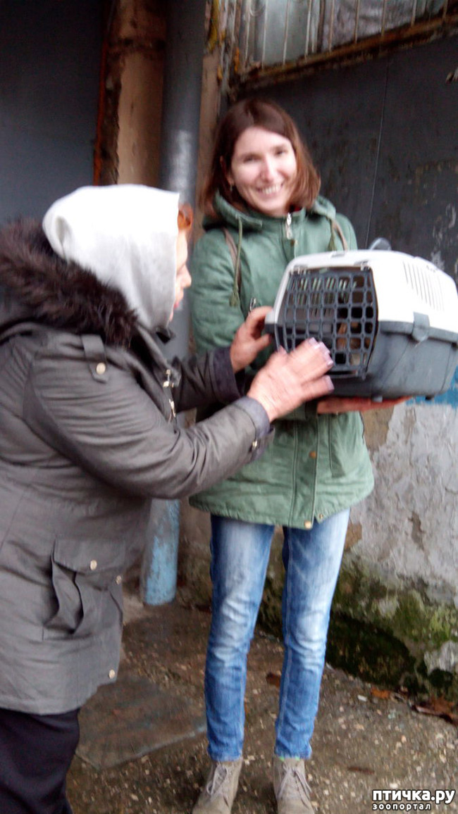 ���� 3: ������ �� ����