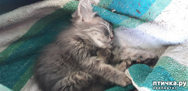 ���� 6: ������ �� ����