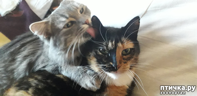 ���� 4: ������ �� ����