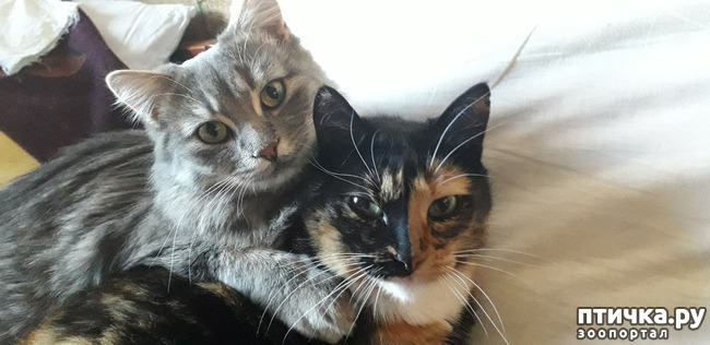 ���� 5: ������ �� ����