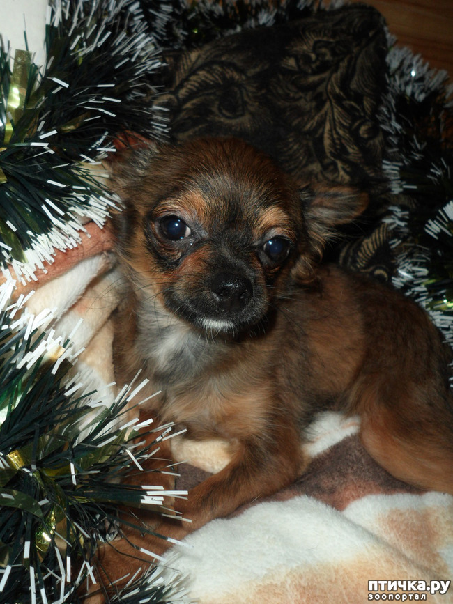 ���� 1: �������� - ��������� � ������ ��������