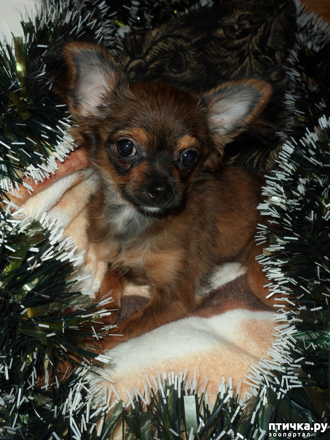 ���� 2: �������� - ��������� � ������ ��������