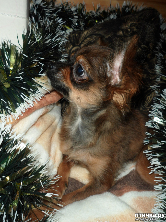 ���� 3: �������� - ��������� � ������ ��������