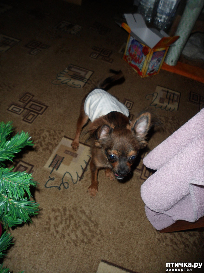 ���� 4: �������� - ��������� � ������ ��������