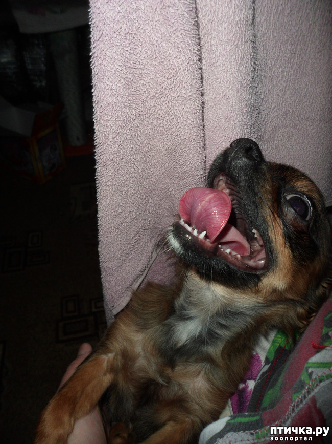 ���� 5: �������� - ��������� � ������ ��������