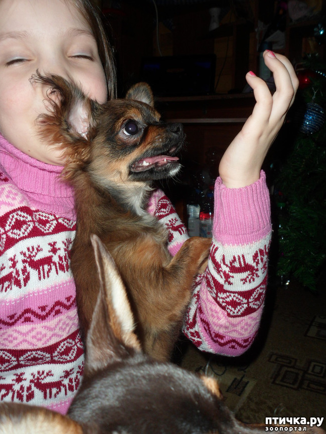 ���� 6: �������� - ��������� � ������ ��������