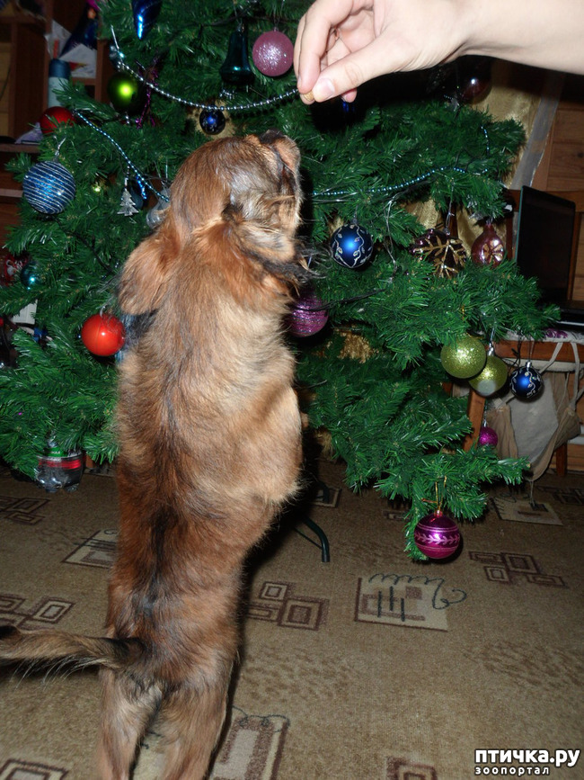 ���� 7: �������� - ��������� � ������ ��������