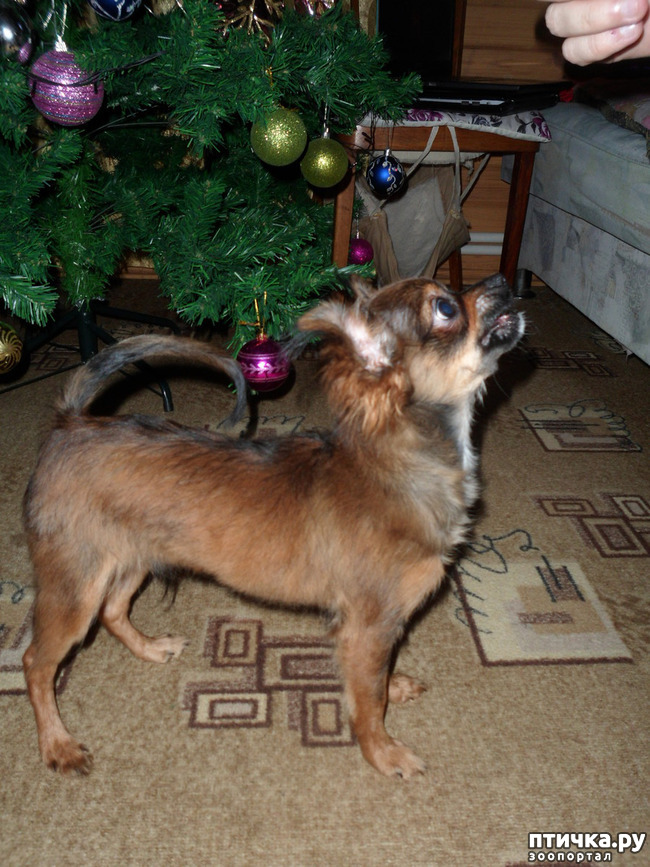 ���� 8: �������� - ��������� � ������ ��������