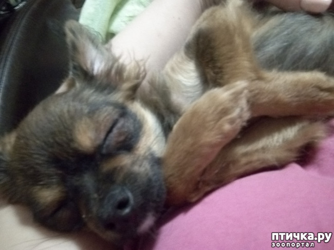 ���� 9: �������� - ��������� � ������ ��������