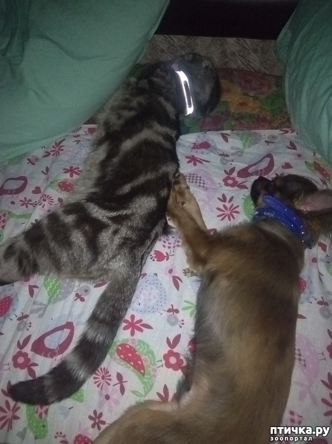 ���� 10: �������� - ��������� � ������ ��������