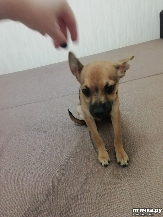 ���� 11: �������� - ��������� � ������ ��������