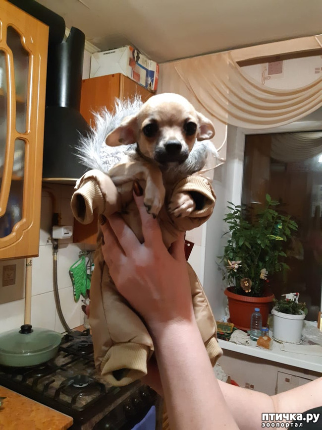 ���� 12: �������� - ��������� � ������ ��������