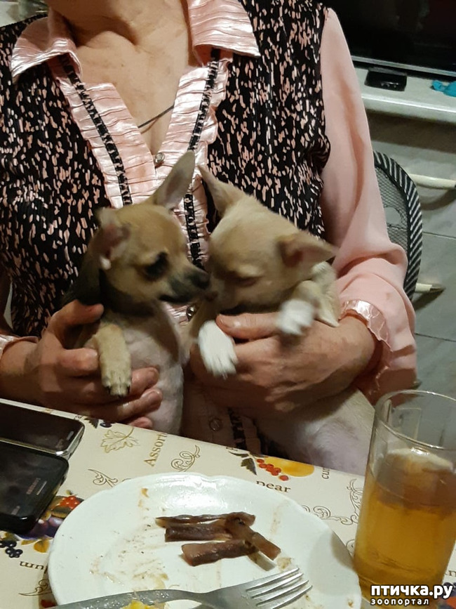 ���� 13: �������� - ��������� � ������ ��������