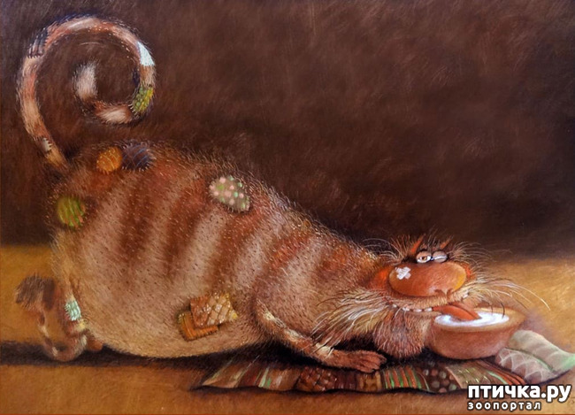 ���� 3: ���� ������� ����������