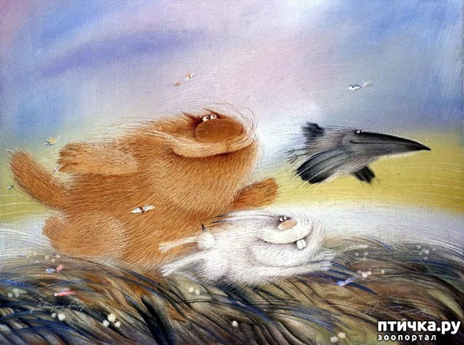 ���� 5: ���� ������� ����������