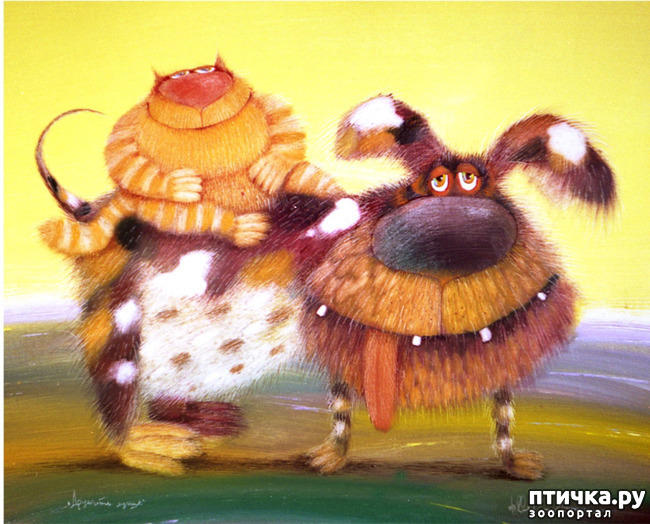 ���� 2: ���� ������� ����������