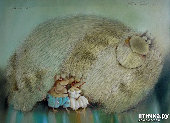 ���� 6: ���� ������� ����������