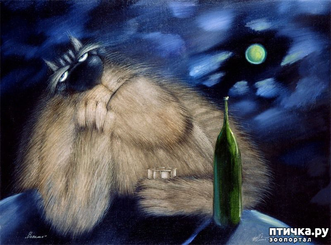 ���� 4: ���� ������� ����������