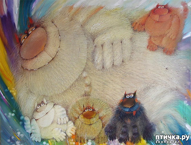 ���� 11: ���� ������� ����������