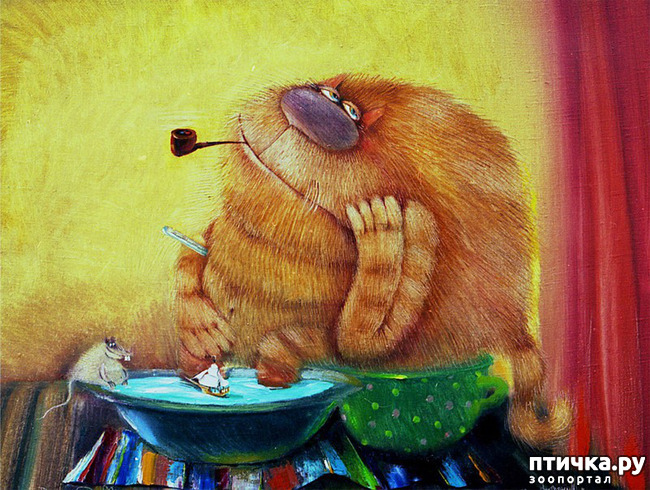 ���� 9: ���� ������� ����������