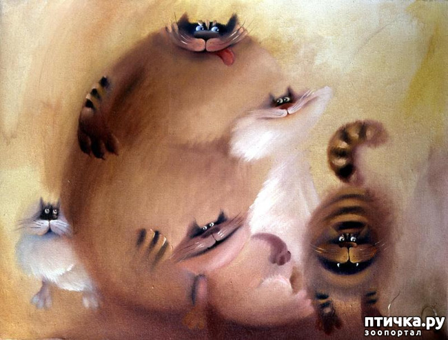 ���� 7: ���� ������� ����������