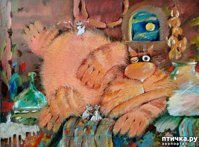 ���� 12: ���� ������� ����������