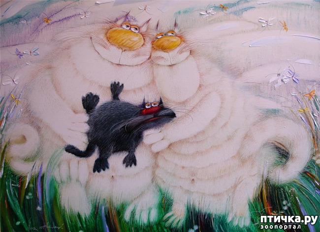 ���� 10: ���� ������� ����������