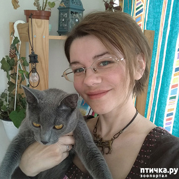 ���� 1: � ��� ��� ����������, ��������� ����...