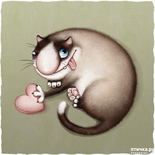 ���� 3: � ��� ��� ����������, ��������� ����...