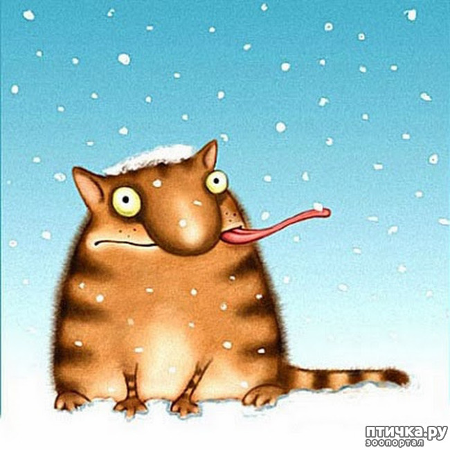 ���� 4: � ��� ��� ����������, ��������� ����...