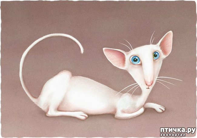 ���� 5: � ��� ��� ����������, ��������� ����...