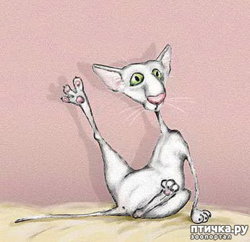 ���� 6: � ��� ��� ����������, ��������� ����...