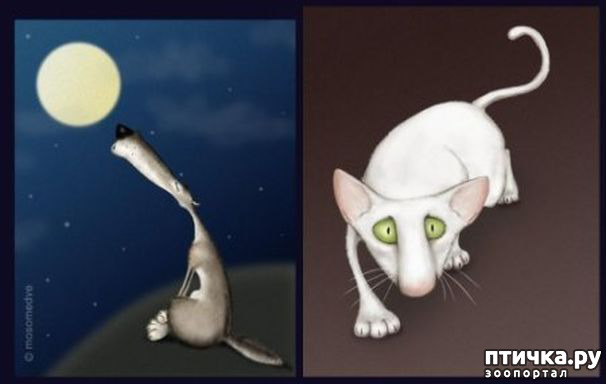 ���� 7: � ��� ��� ����������, ��������� ����...