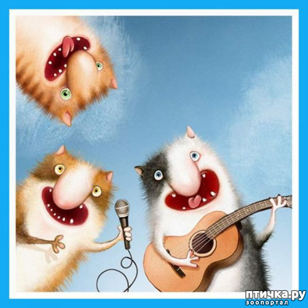 ���� 8: � ��� ��� ����������, ��������� ����...