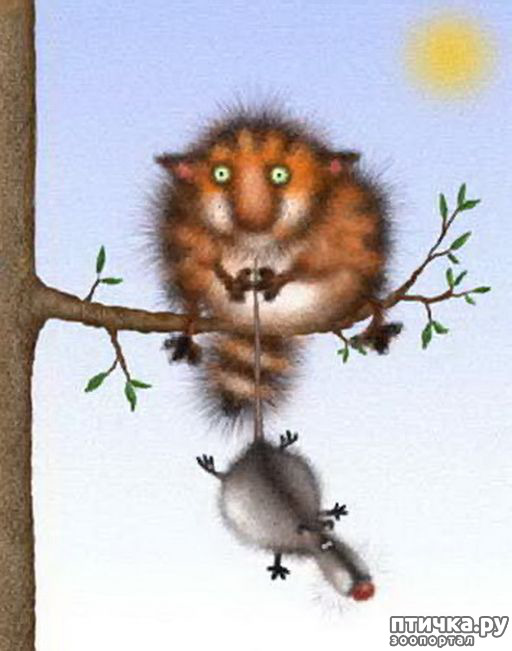 ���� 9: � ��� ��� ����������, ��������� ����...