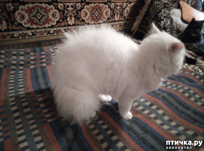 ���� 6: � � ���������