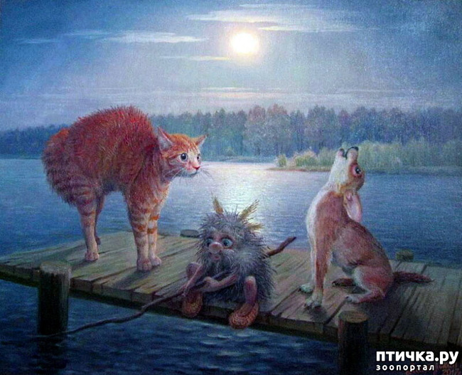 ���� 3: ����� �� ���!