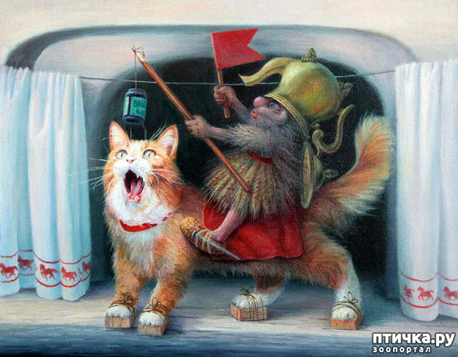 ���� 4: ����� �� ���!